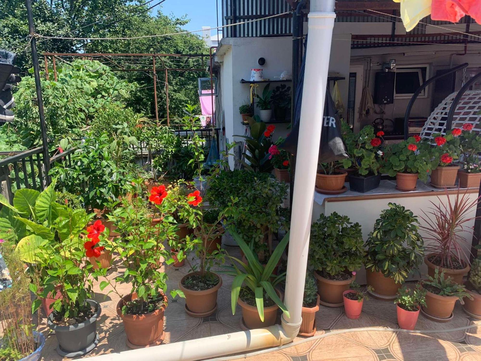Tinas Sweet Home Batum Dış mekan fotoğraf
